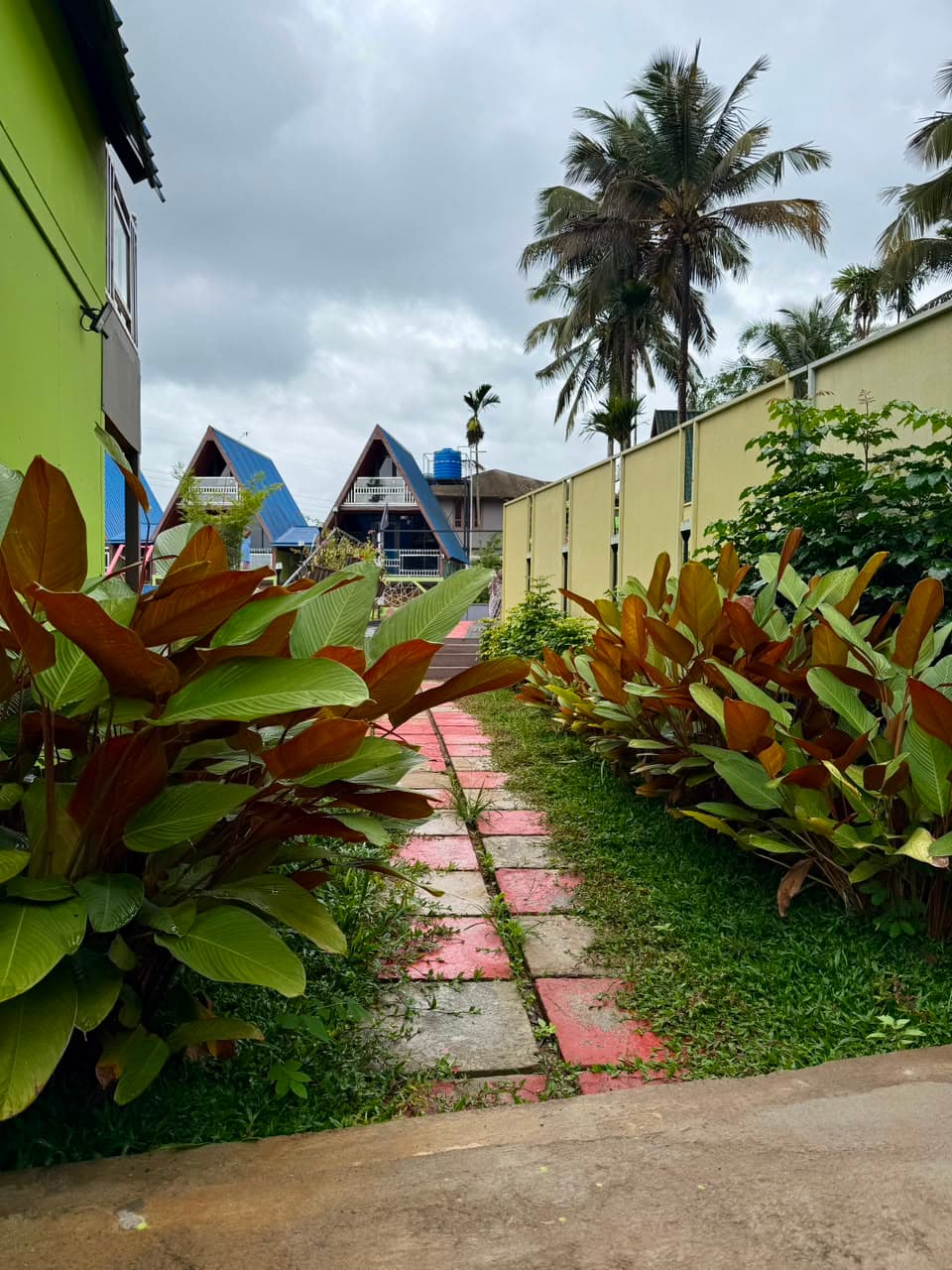 A paved path between broad tropical planting, chalets at the end of it